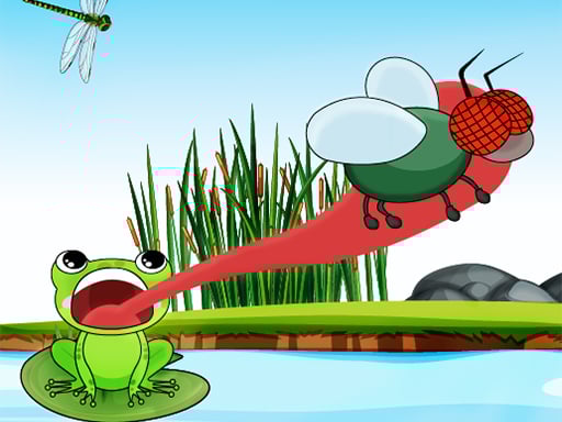 Fly Feast 2024